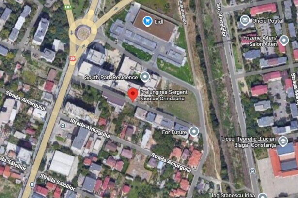 societatea rent mob ro srl initiatoarea unui puz pe soseaua mangaliei dupa ce investitia imobiliara din palazu mare a fost suspendata 692a74b0030b4