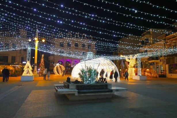 targul de craciun se deschide astazi in piata ovidiu 6928067009083