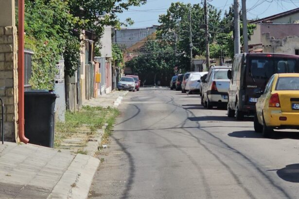 teren din anadalchioi vizat pentru dezvoltare puz ul intra in evaluare de mediu 6928d209c7ff1