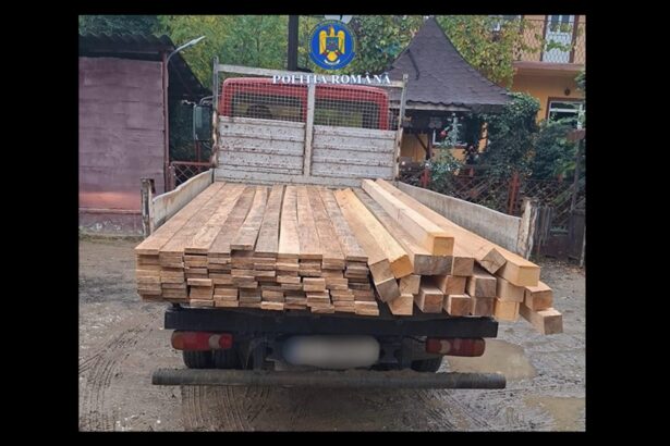 transport ilegal de lemne oprit in trafic de politistii din baneasa 69146ac819f7e