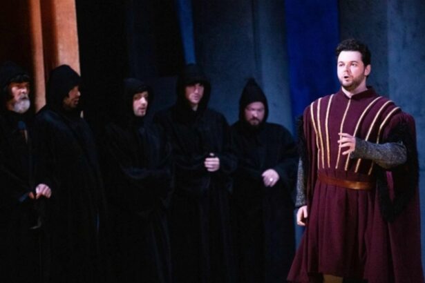 trubadurul de giuseppe verdi la teatrul national oleg danovski 6920b34fed07b