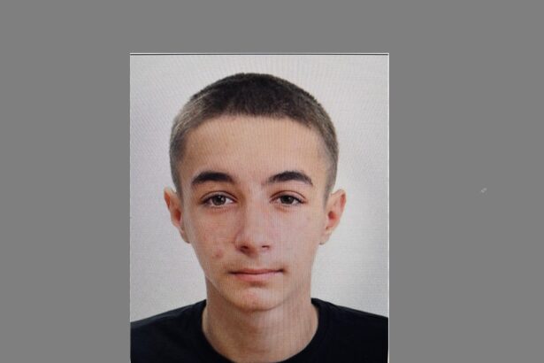 un copil din constanta dat disparut sunati la 112 daca il vedeti 692ade19d8ac2