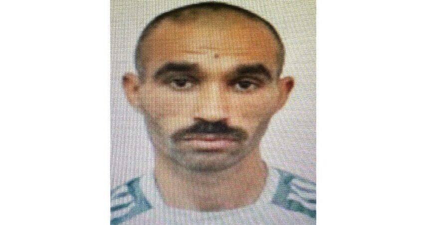 un tanar a disparut din cobadin sunati la 112 daca il vedeti 69132325406cc