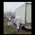 video a fost igienizat focarul de pesta porcina din navodari proprietarul amendat de dsvsa 6915ca5ad87ea