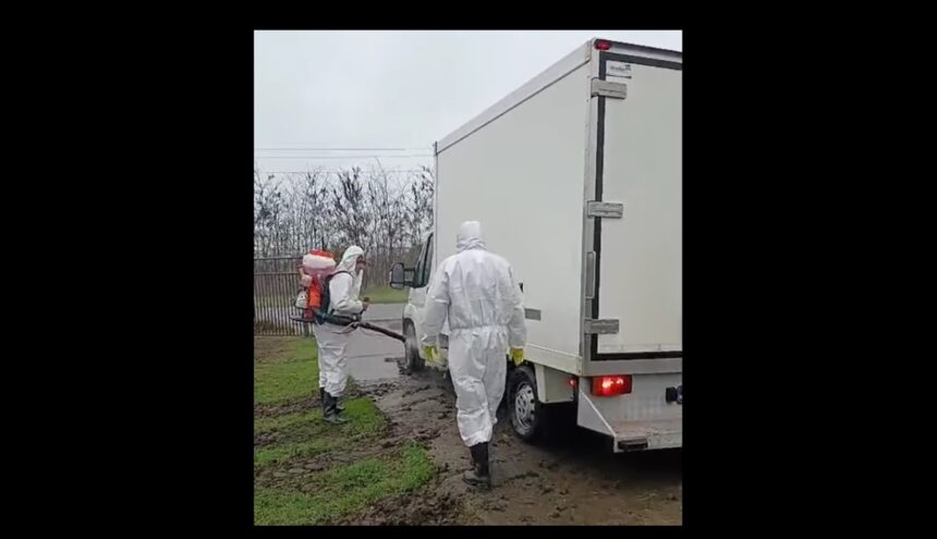 video a fost igienizat focarul de pesta porcina din navodari proprietarul amendat de dsvsa 6915ca5ad87ea