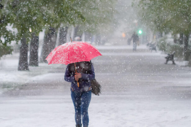video a nins la suceava unde se asteapta ca stratul de zapada sa atinga 6 12 cm 691c4a80c69a4