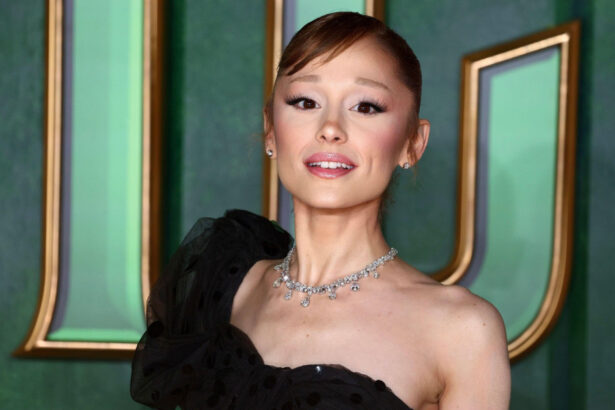 video barbatul care a bruscat o pe ariana grande la premiera filmului wicked 2 a fost pus sub acuzare ce pedeapsa risca acesta 691afaf169f17