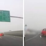 video bizon pe autostrada sofer filmat cum conduce pe contrasens si evita la limita o alta masina decizia politistilor 6922c7a536671