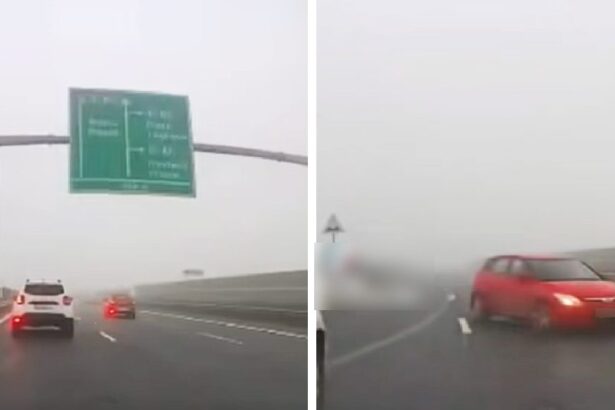 video bizon pe autostrada sofer filmat cum conduce pe contrasens si evita la limita o alta masina decizia politistilor 6922c7a536671