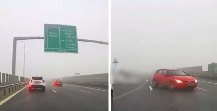 video bizon pe autostrada sofer filmat cum conduce pe contrasens si evita la limita o alta masina decizia politistilor 6922c7a536671