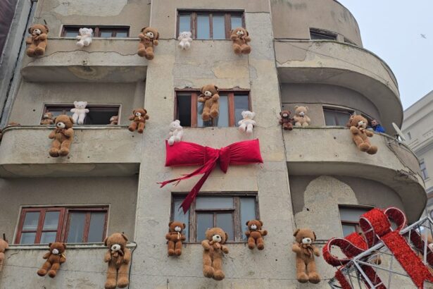 video ce spune organizatorul targului de craciun din piata ovidiu despre ursii de plus spanzurati pe fatada unei cladiri 692996f746356