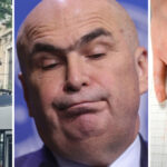 video gafa cum i a conectat premierul bolojan pe angajatii anaf la pantograf in loc de poligraf 6920a04dcba17