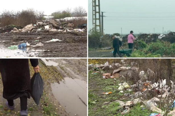 video imagini revoltatoare campuri sufocate de gunoaie intr o comuna din olt localnicii si primarul se invinovatesc reciproc 6922b43b32bee