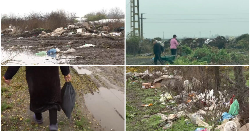 video imagini revoltatoare campuri sufocate de gunoaie intr o comuna din olt localnicii si primarul se invinovatesc reciproc 6922b43b32bee