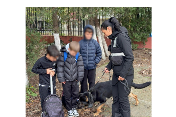 video lectie de siguranta in scolile din constanta politistii jandarmii si sky prietenul patruped alaturi de elevi 6916137620bb2