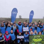 video mii de copaci au fost plantati de angajatii digi daca natura are grija de noi trebuie sa avem si noi grija de natura 69175fd6d53e9