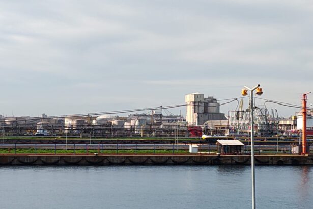 video perchezitii masive diicot firme locuinte si un operator portuar din constanta vizate intr un dosar de crima organizata 692825bf092b3