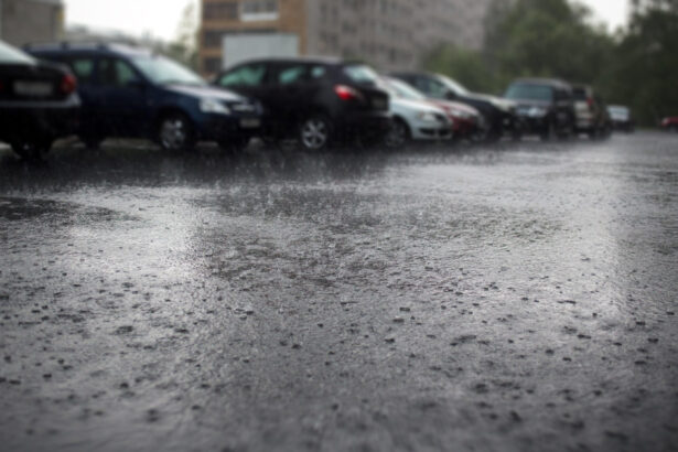 video prognoza pentru 1 decembrie anm anunta ploi in centru sud si est alaturi de lapovita la munte cum va fi vremea in capitala 692c6642016ea