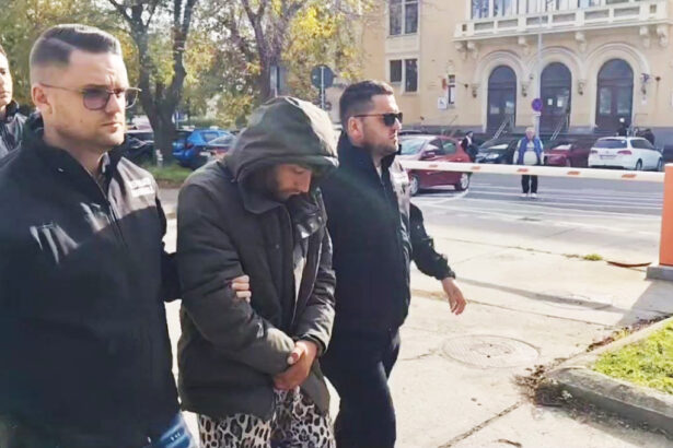 video suspectul crimei din navodari adus in fata judecatorilor imi pare rau a spus acesta la intrarea in sala 691c4888ec4dd