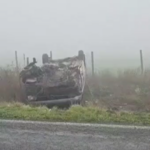 video update accident pe dn3 intre pietreni si viisoara un microbuz cu 9 pasageri s a rasturnat intervin mai multe ambulante 691578d7d55fe