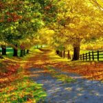 vremea se incalzeste din nou in dobrogea vezi prognoza meteorologica 692423b1150cd