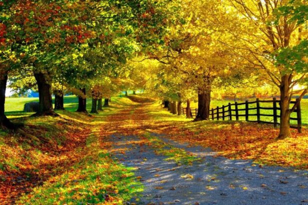 vremea se incalzeste din nou in dobrogea vezi prognoza meteorologica 692423b1150cd