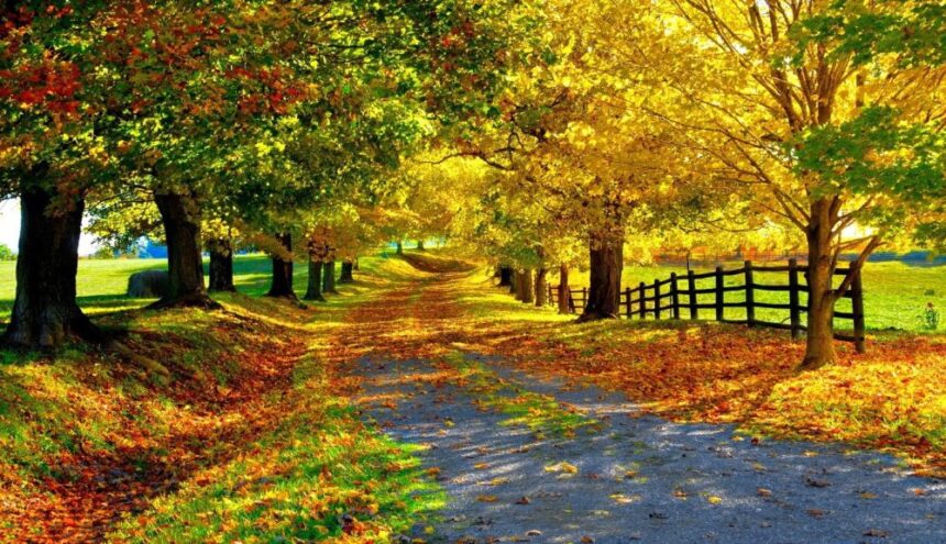 vremea se incalzeste din nou in dobrogea vezi prognoza meteorologica 692423b1150cd