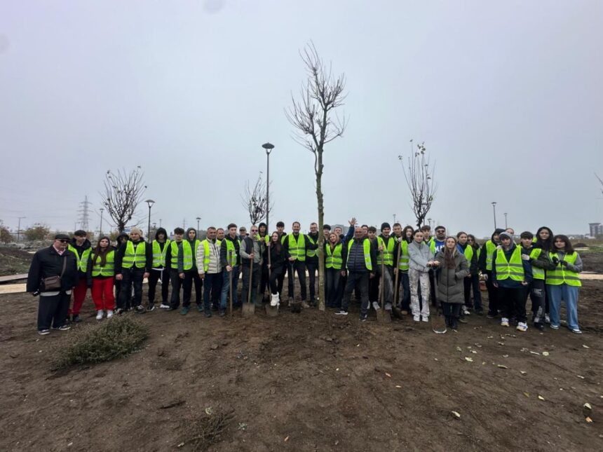 ziua dobrogei sarbatorita printr o actiune de plantare in parcul perdeaua verde din constanta 691764f46104d