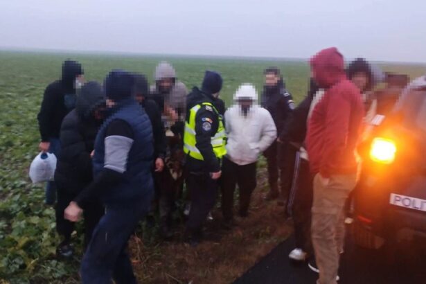 14 cetateni straini depistati intre negru voda si cerchezu iata ce spun politistii de frontiera 694e5e0aba392