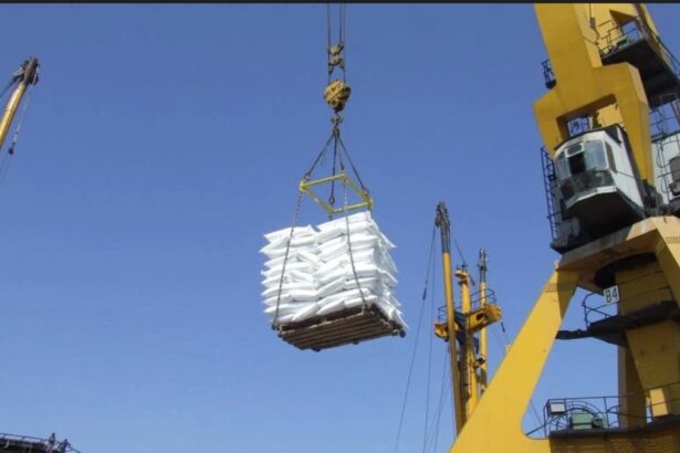 a fost declansata o ancheta cum s a produs nenorocirea din portul constanta in urma careia au murit doi angajati ai unui mare operator portuar 6954f8cda3e94