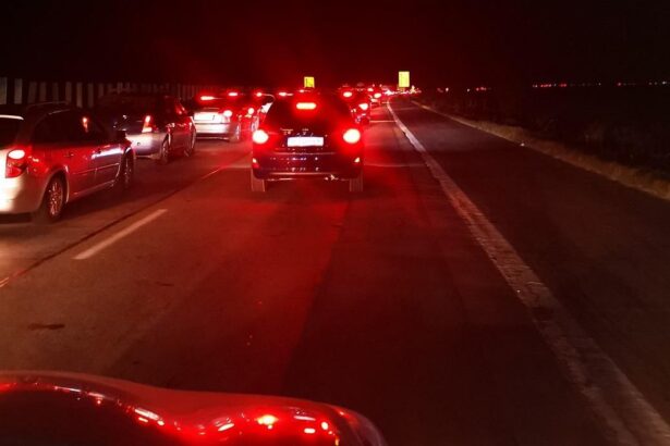 a fost identificat soferul din cauza caruia erau imprastiate lesuri de ovine pe autostrada soarelui 693a0020a48cf