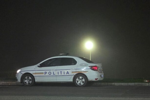 a fost identificat transportul din care ar fi cazut lesurile de animale care au blocat a2 ansamblu auto cu acte neconforme depistat in baraganu 693a54c9603b7