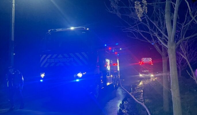 a luat foc un saivan in satul palazu mic din judetul constanta 69340e1440fcc