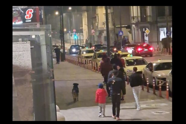 accident rutier langa tomis mall pe strada mihai viteazu din constanta a fost chemata ambulanta 692f35166e4b2