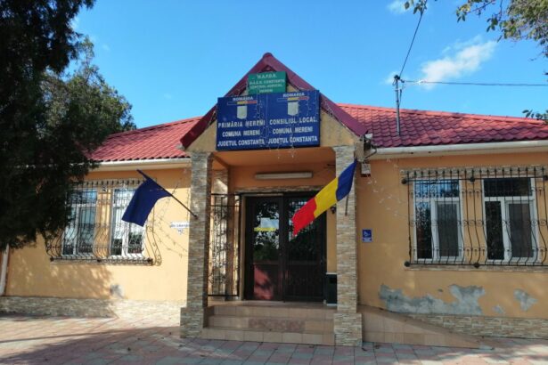 acuzatii intre primaria si consiliul local mereni unde s a ajuns primarul acuza consilierii de intruniri nelegale cei din urma acuza lipsa transparentei 694f1bbd02674