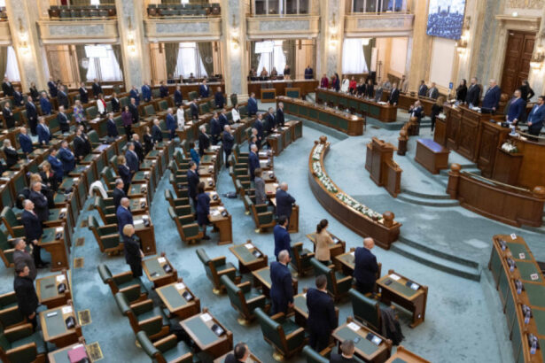 amenzi de pana la 20 000 lei pentru comportament agresiv in institutii ce prevede proiectul adoptat tacit de senat 692f104af234c