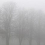 atentie soferi este ceata densa in multe localitati din judetul constanta 6948f18d021cd