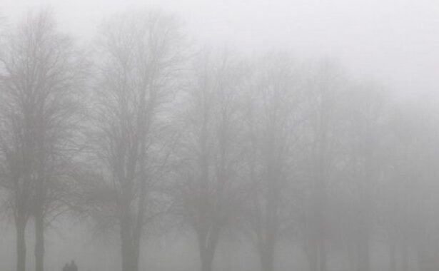 atentie soferi este ceata densa in multe localitati din judetul constanta 6948f18d021cd