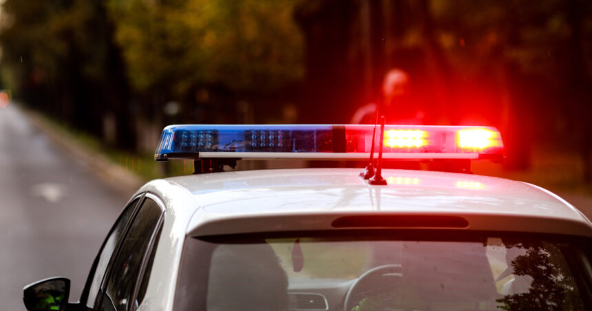 autorul crimei de la turnul magurele a fost arestat preventiv barbatul si a recunoscut fapta in fata anchetatorilor 694fdf3abdcdc