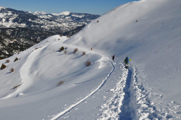 avalansa mortala pe muntele vardousia din grecia echipele de salvare au gasit trupurile a patru alpinisti printre care o femeie 694fbc00a76cf