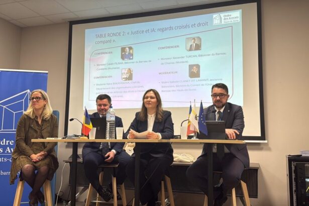 avocatul catalin filisan decanul baroului constanta speaker la conferinta organizata de baroul hauts de seine in paris despre avantajele si riscurile utilizarii inteligentei artificiale in avocatura 693725105cc2a