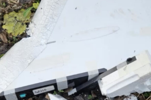 cazul dronei rusesti care a survolat ore bune estul romaniei nicusor dan nu aveam prea multe mijloace de aparare in acea zona 69374daa9e009