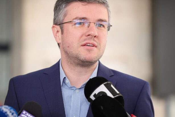 cine este irineu darau propus de usr la ministerul economiei senator la al doilea mandat detine o firma in franta 6943e1f873e72