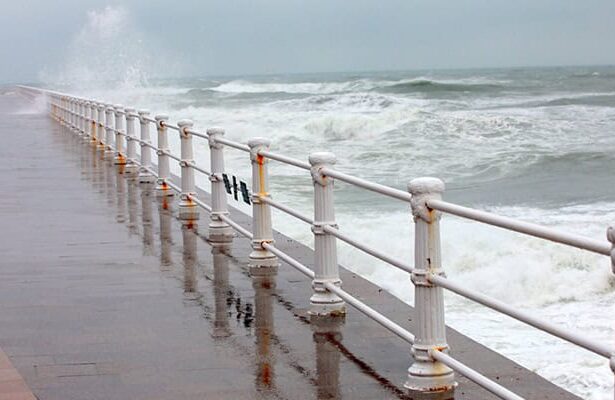 cod galben de vant puternic la constanta 6935354daef29