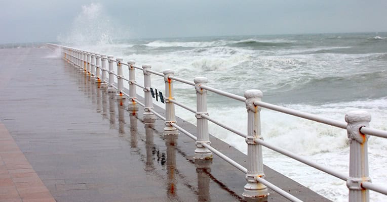 cod galben de vant puternic la constanta 6935354daef29