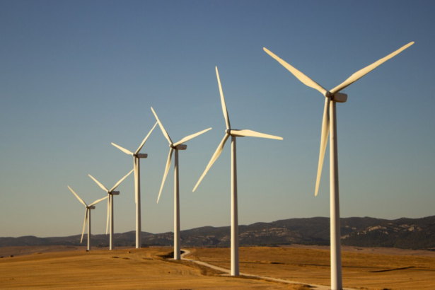 codurile de vant mana cereasca pentru producatorii de energie eoliana 69518329c0ced