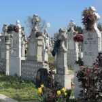 compania casa albastra detinuta de familia buculeasa infiinteaza un nou cimitir in constanta dupa ce primaria emis autorizatia iata unde va fi amenajat 6932ffa24a21e