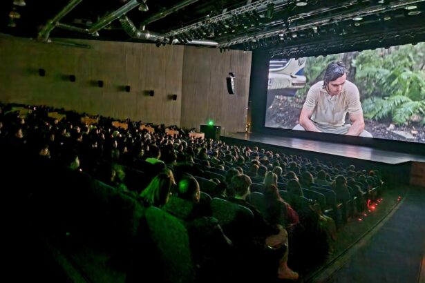 cravata galbena povestea extraordinara a maestrului sergiu celibidache proiectata cu sali sold out la centrul multifunctional jean constantin 6932a07e965b3