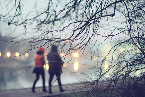 cum va fi vremea de craciun si revelion anm a actualizat prognoza pentru finalul lui 2025 69410dc09ec83