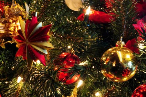 cum va fi vremea de craciun vezi ce spun meteorologii 6948edc4bc3d0